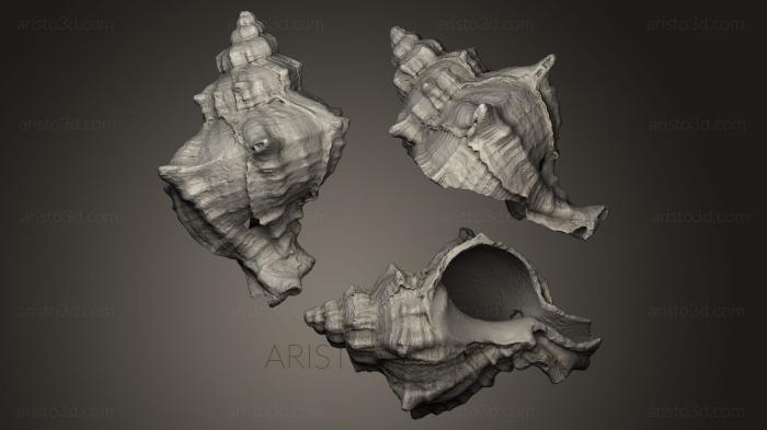Stones and shells (ROCKS_0018) 3D model for CNC machine